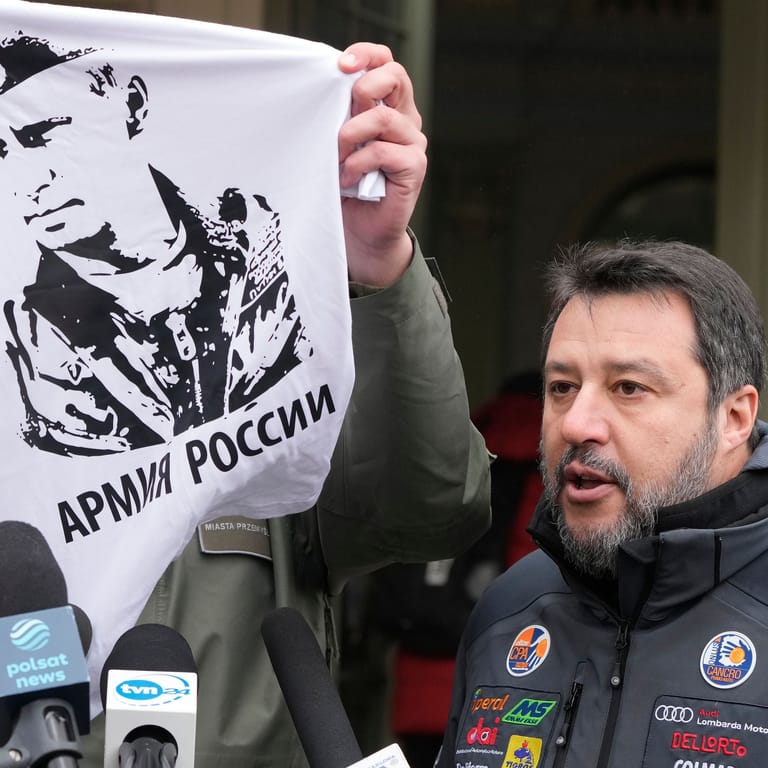 Vergrößertes Herz Ursachen und Symptome der Herzerkrankung