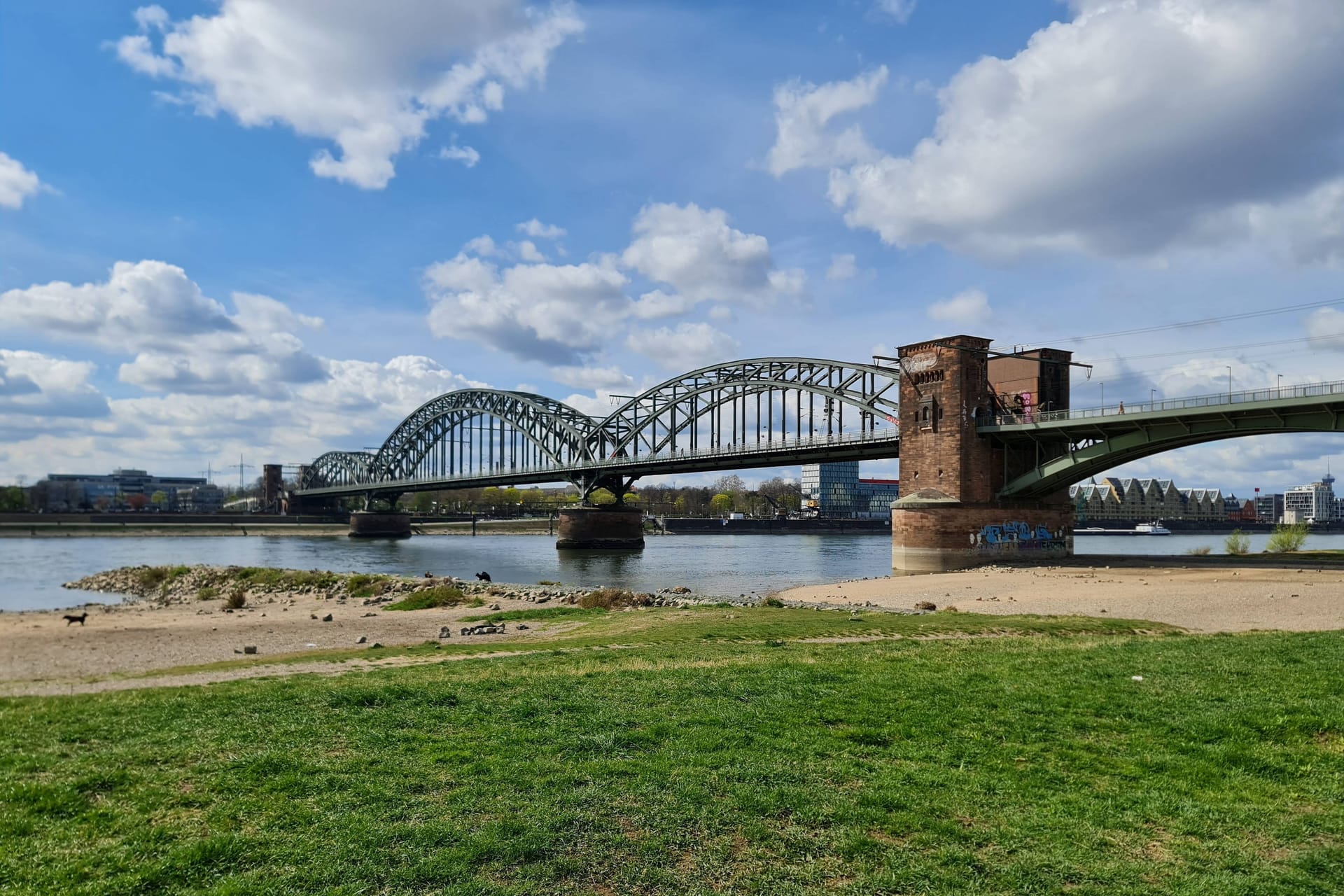 Die Kölner Südbrücke ist eine wichtige Eisenbahnverbindung: Bis zum 5. August bleibt die Strecke gesperrt.