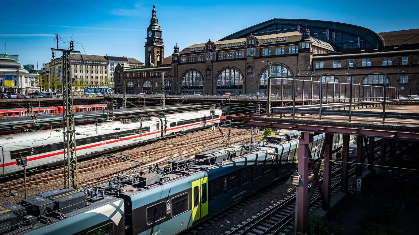 Blick auf den Hauptbahnhof in Hamburg (Archivbild): Die Deutsche Bahn hat ein Bild der Künstlerin Yohana Hirschfeld abhängen lassen.