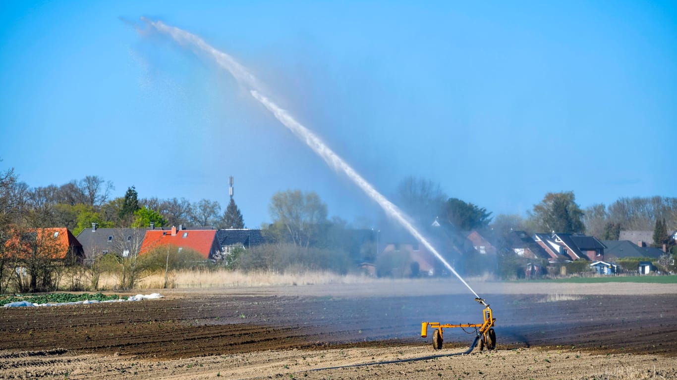 Bewässerung eines trockenen Feldes bei Hamburg (Symbolbild): Extreme Temperaturen erhöhen den Wasserstress von Pflanzen.