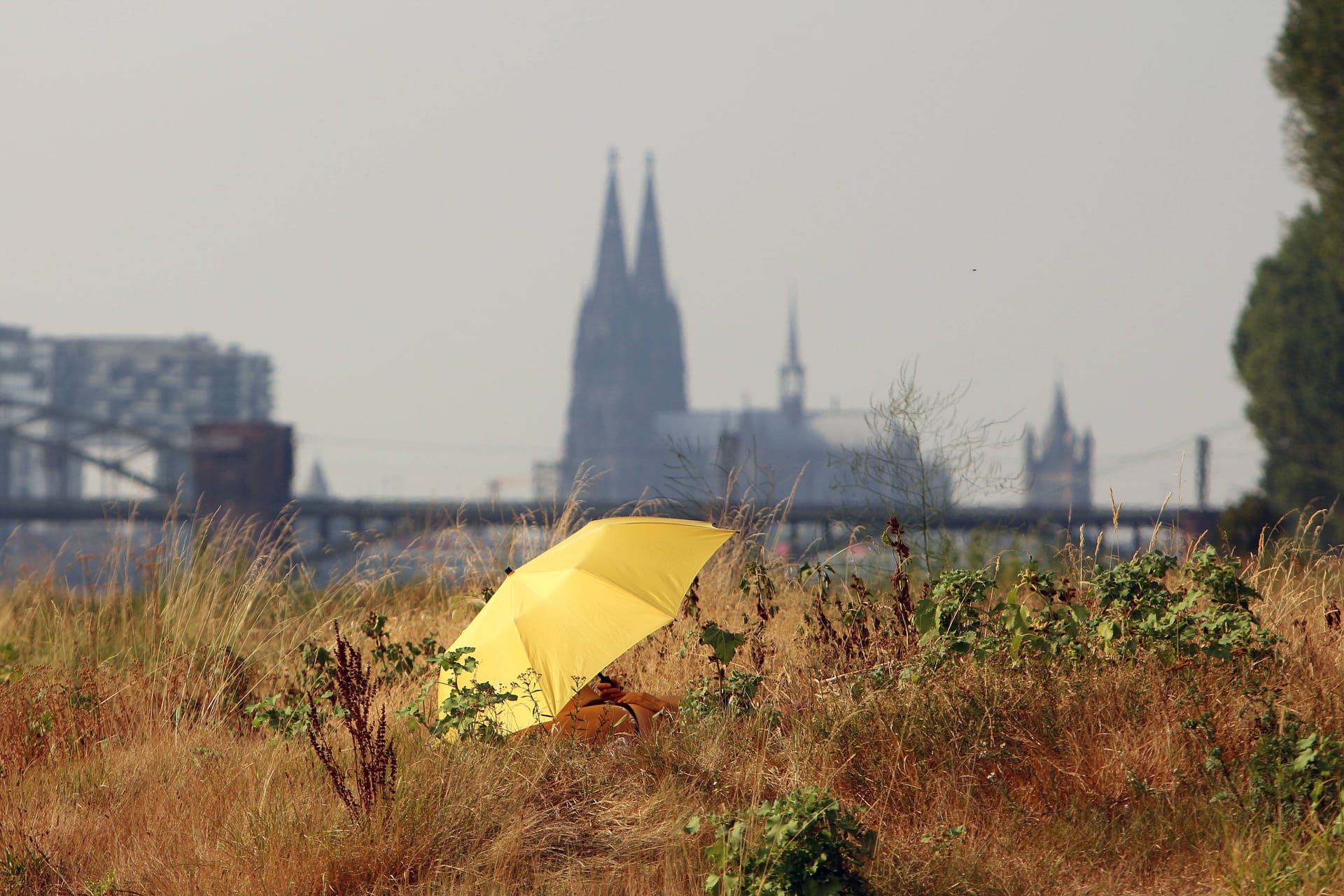 Sommerhitze in Köln am Rhein: Mit einem Hitzeaktionsplan will sich die Stadt für den Klimawandel rüsten.