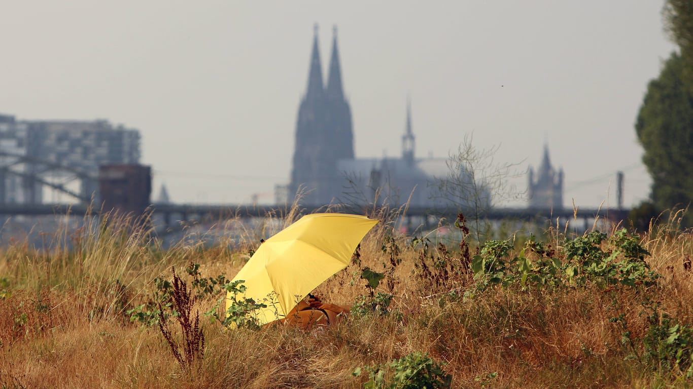 Sommerhitze in Köln am Rhein: Mit einem Hitzeaktionsplan will sich die Stadt für den Klimawandel rüsten.