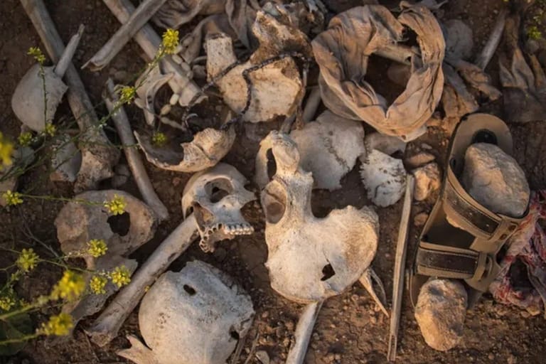 Knochen in einem Massengrab: Viele dieser Gräber wurden nach der IS-Schreckensherrschaft gefunden.