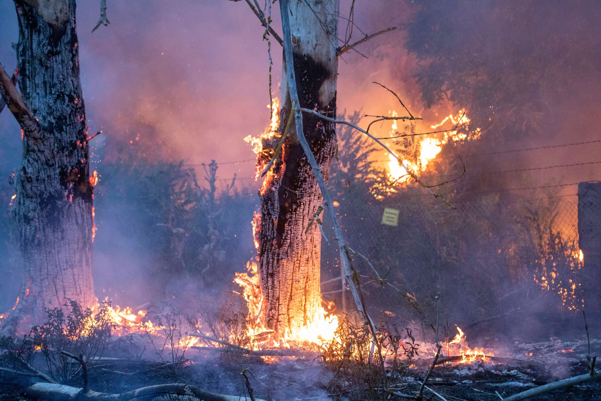 Ein Waldbrand Ende Juli bei Kölsa, Brandenburg: Selbst die Feuerwehr musste hier zwischenzeitlich vor den Flammen fliehen.