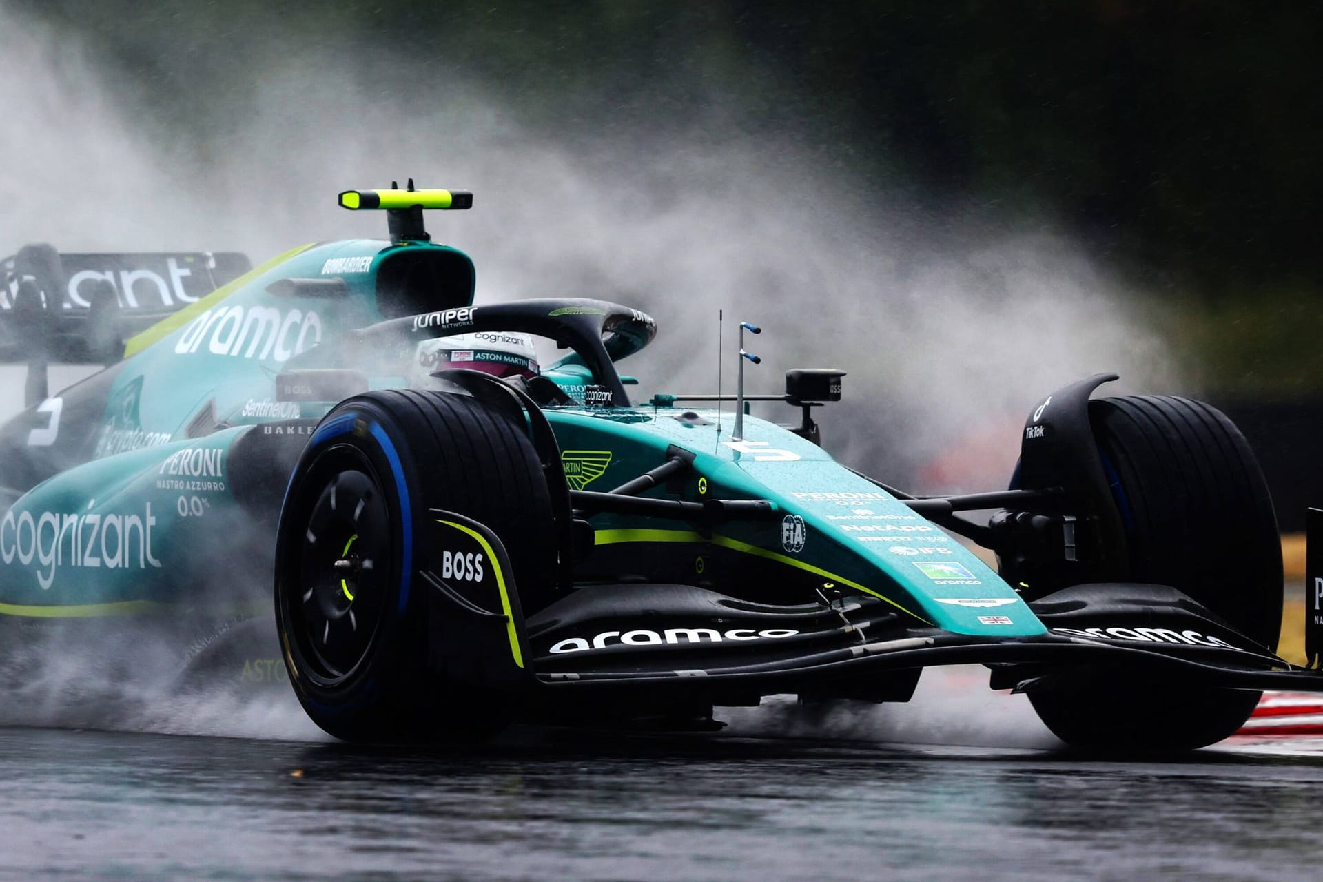 Im Regen: Sebastian Vettel im 3. Training auf dem Hungaroring.