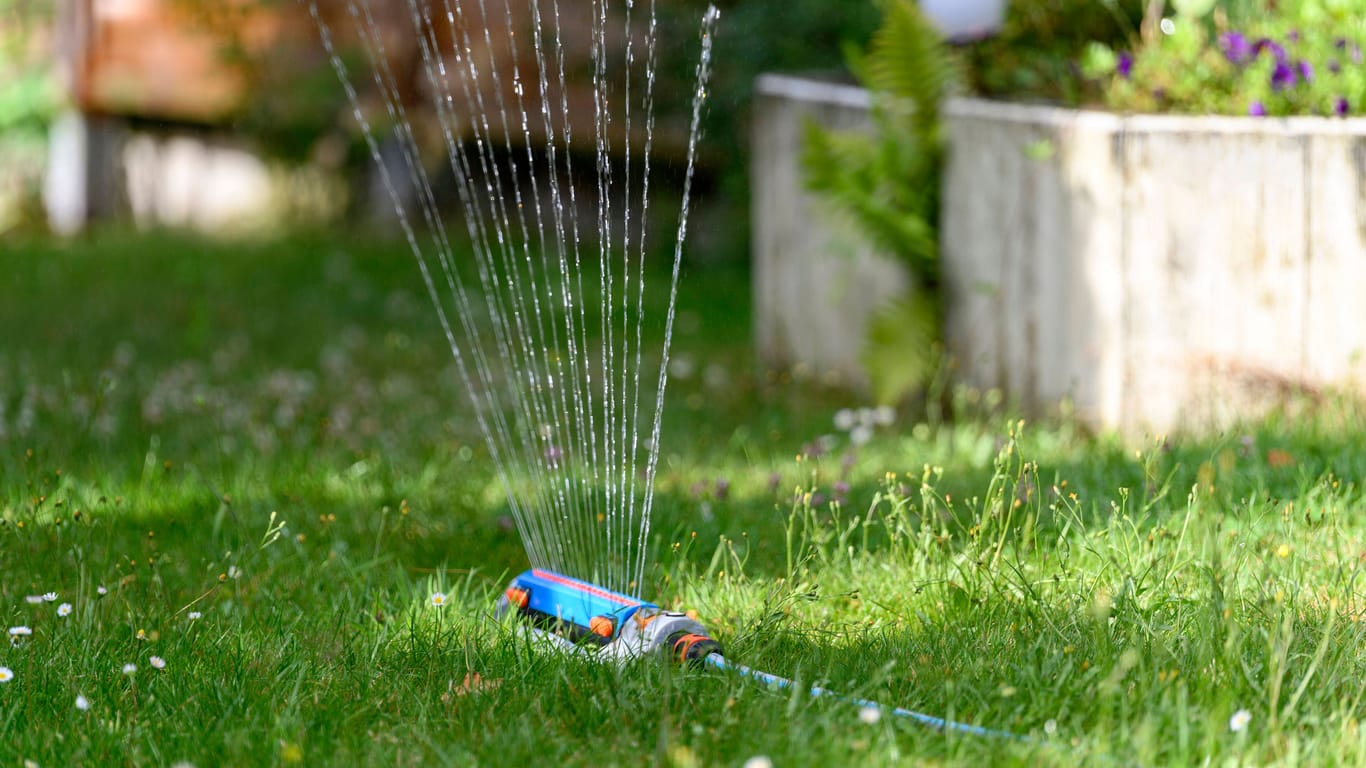 Ein Rasensprenger bewässert einen Garten (Symbolbild): In Berlin könnte das Wasser knapp werden.
