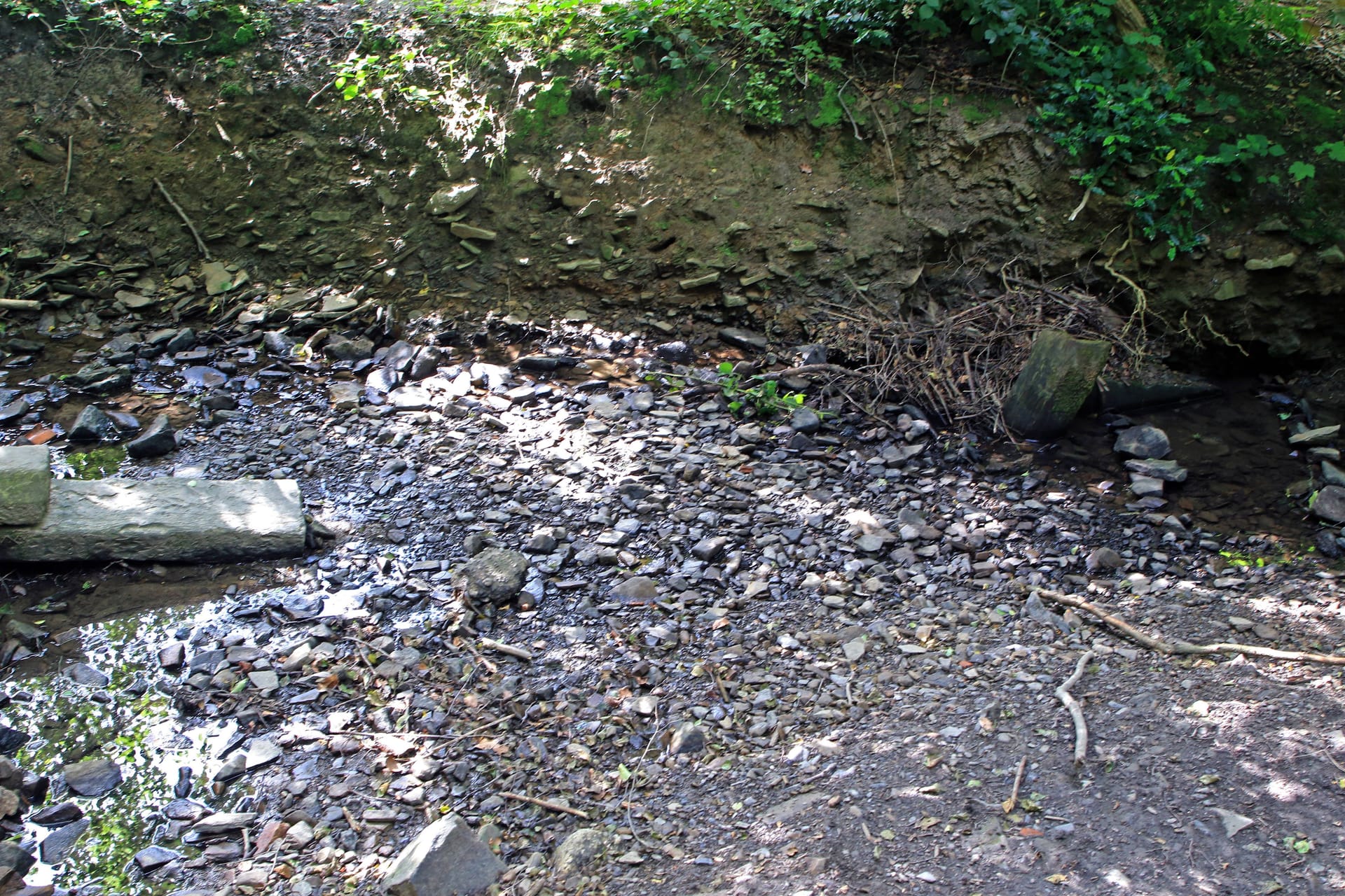 Ein Bach im Wald, der nach langer Trockenheit und Hitze austrockne (Symbolbild): Im Rechtsrheinischen Köln sind zahlreiche Bäche ausgetrocknet.