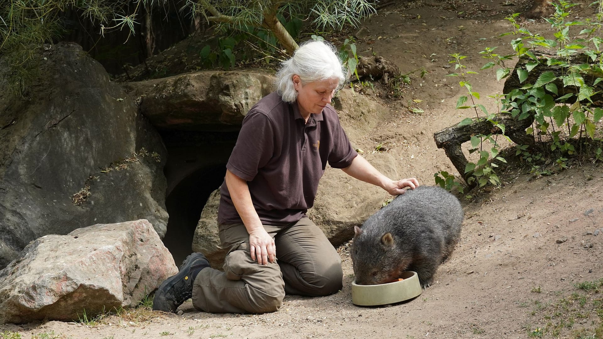 "Maya" bei einer Fütterung in ihrem Gehege mit einer Tierpflegerin.