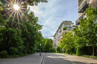 Ein grünes Viertel in München (Archivbild): Viele Bäume haben es in bayerischen Städten schwer, aus unterschiedlichen Gründen müssen immer wieder welche gefällt werden.