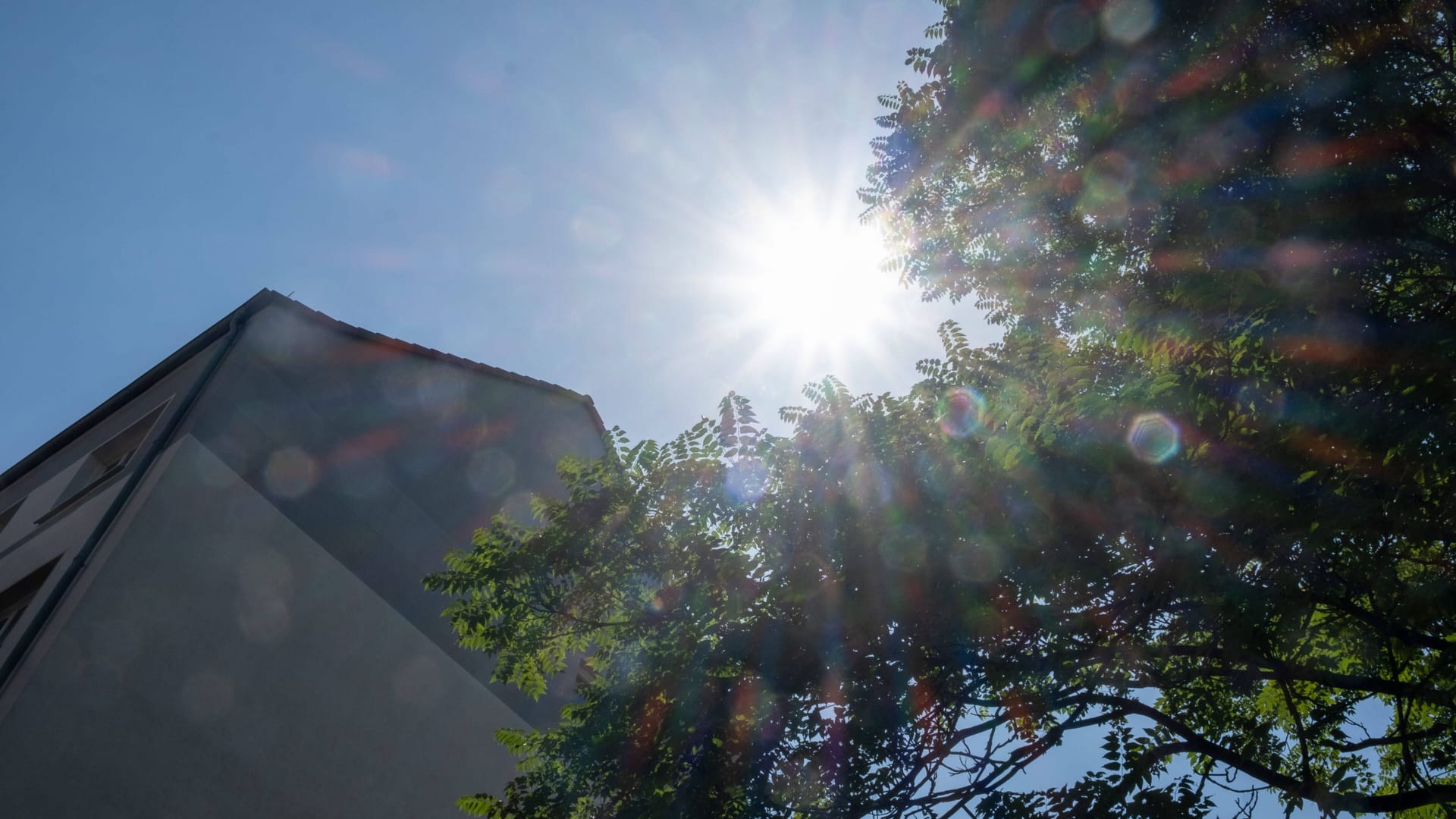 Pralle Sonne auf einer Hausfassade in Berlin (Symbolfoto): Der DGB bezeichnet die hohen Temperaturen als Gesundheitsrisiko für Arbeitnehmer.