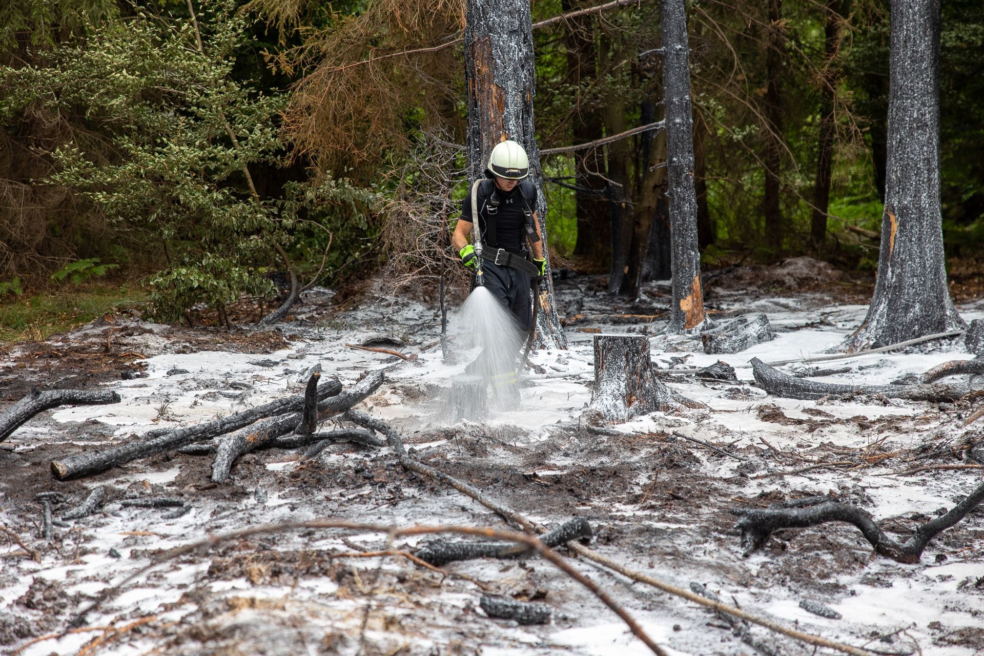 Zwei Waldbrände mit mehreren Brandherden hielten am Samstag die Feuerwehr Heusenstamm und die Polizei in Atem.