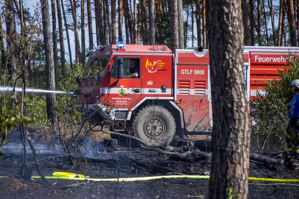 Feuerwehr im Einsatz bei einem Waldbrand (Symbolbild): In Brandenburg brennen zehn Hektar Wald.