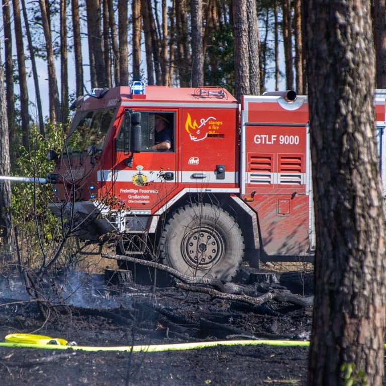 Feuerwehr im Einsatz bei einem Waldbrand (Symbolbild): In Brandenburg brennen zehn Hektar Wald.
