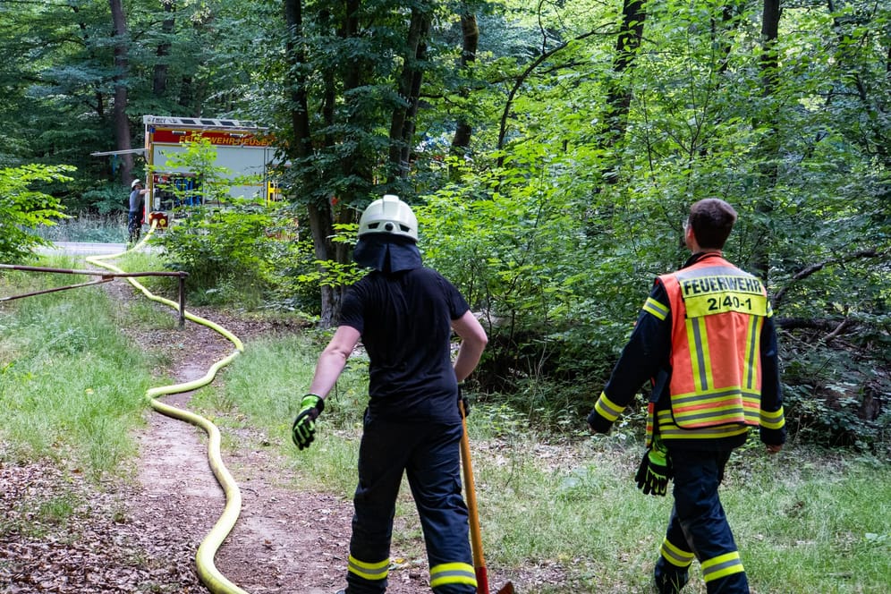 Löscharbeiten in Offenbach: Erneut kam es im Heusenstammer Wald zu insgesamt sechs Brandstellen zeitgleich.