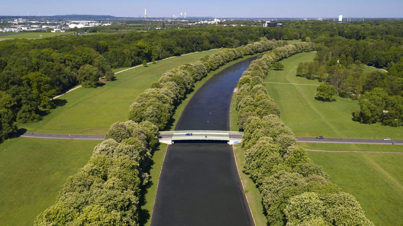 Der Decksteiner Weiher im Äußeren Grüngürtel: Aktuell ist der Kölner Stadtwald Experimentierfläche für das Austesten hitzeresistenter Baumsorten.