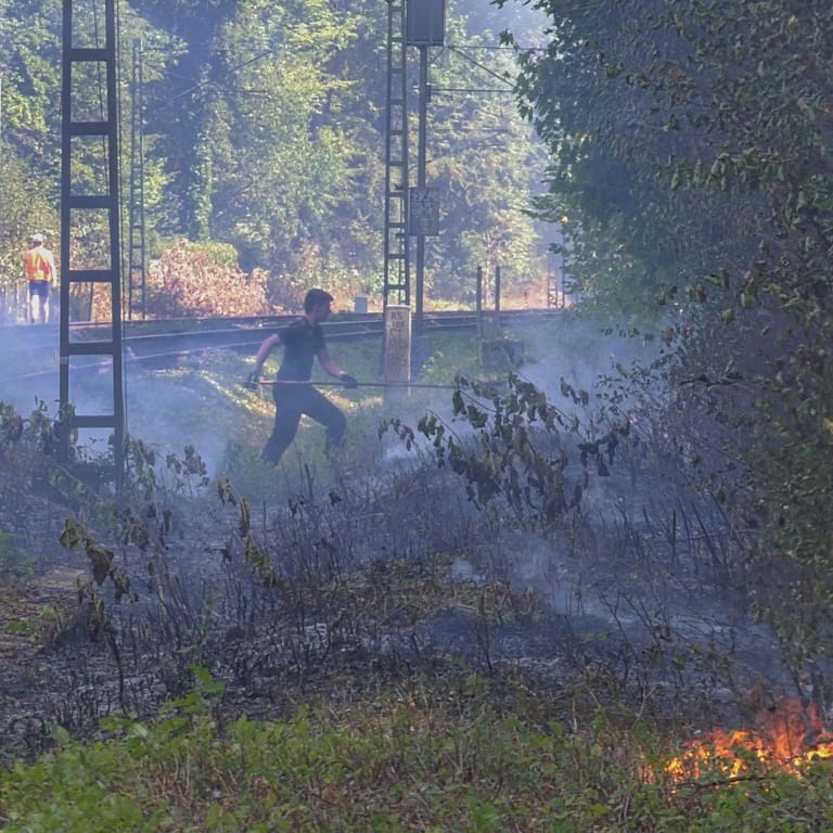 Feuerwehrleute im Kampf gegen die Flammen: Der Verkehr auf der Bahnstrecke kam zum Erliegen.