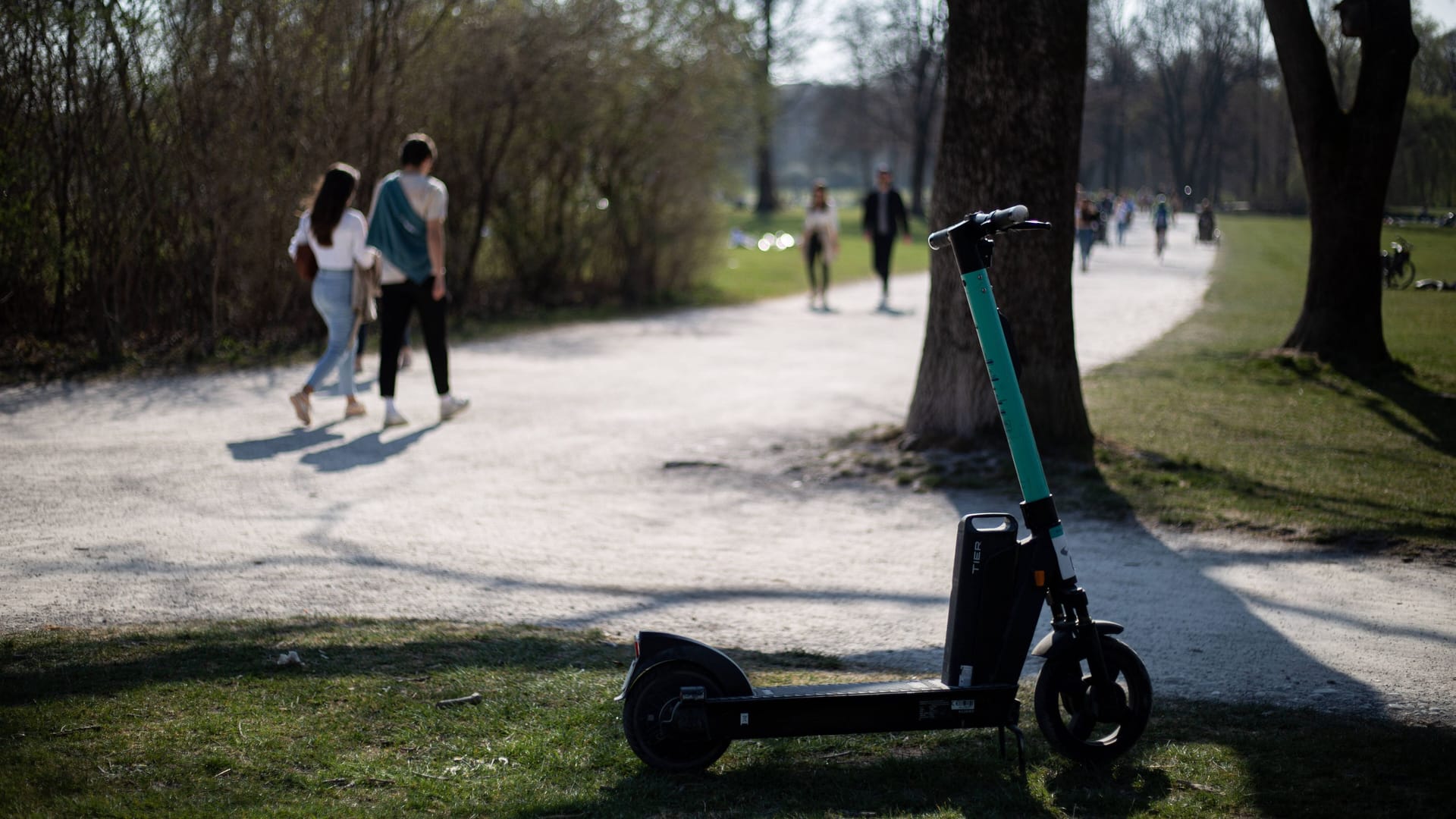 Ein E-Scooter im Englischen Garten in München (Symbolbild): Die Stadt will Wildparken jetzt mit festen Parkplätzen einen Riegel vorschieben. Ein E-Scooter im Englischen Garten in München (Symbolbild): Die Stadt will Wildparken jetzt mit festen Parkplätzen einen Riegel vorschieben.