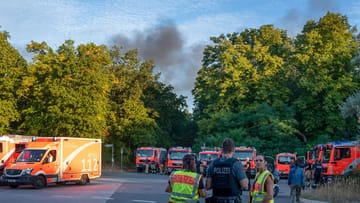 Polizei und Feuerwehr am Kronprinzessinnenweg in Berlin: Am Donnerstagmorgen ist im Grunewald ein Feuer ausgebrochen.