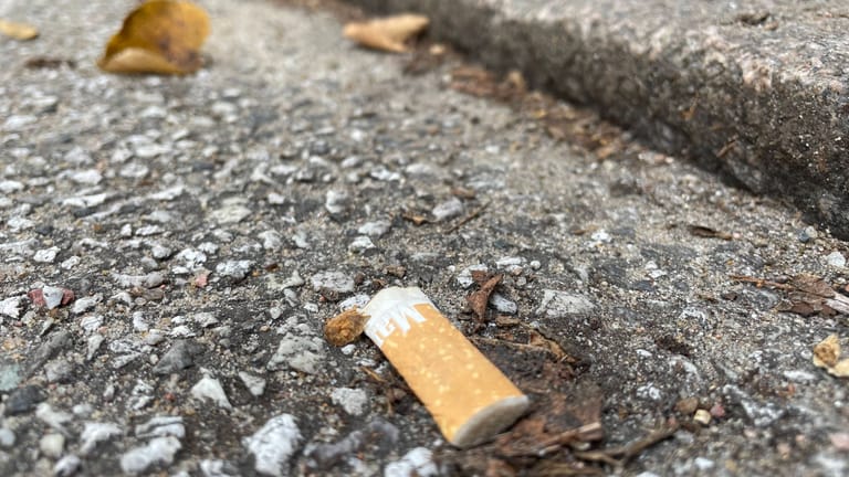 Ein weggeworfener Zigarettenstummel liegt am Straßenrand (Archiv): Das Wegwerfen einer Kippe könnte für einen 33-jährigen Mercedes-Fahrer teuer werden.