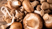 Pilze: Champingnons enthalten besonders viel Sorbit.