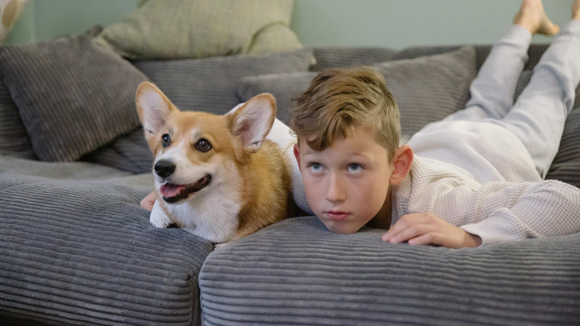 Empathie bei den Haustieren: Manche Hundebesitzer meinen sogar, die Hunde können fühlen, was wir denken.