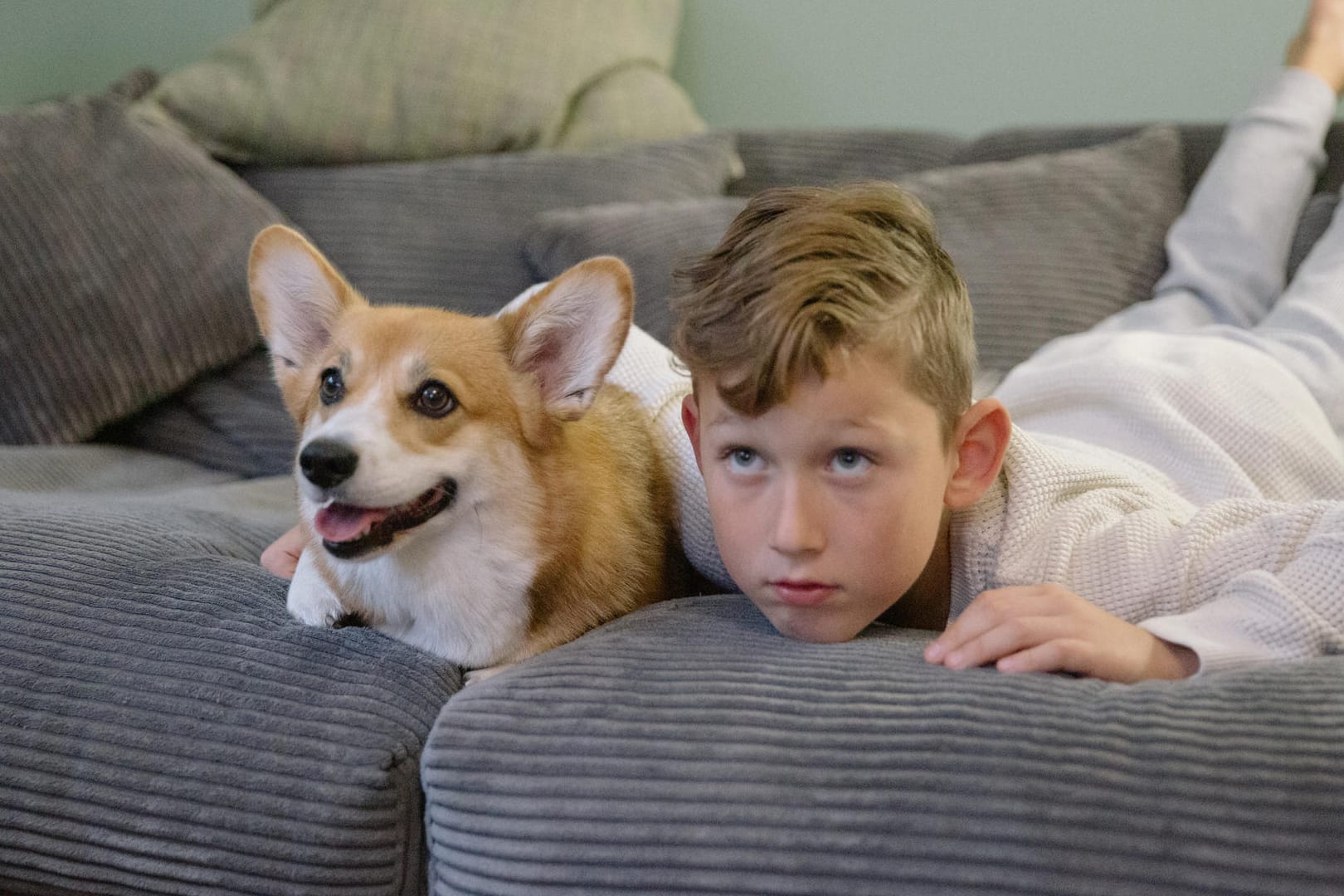 Empathie bei den Haustieren: Manche Hundebesitzer meinen sogar, die Hunde können fühlen, was wir denken.