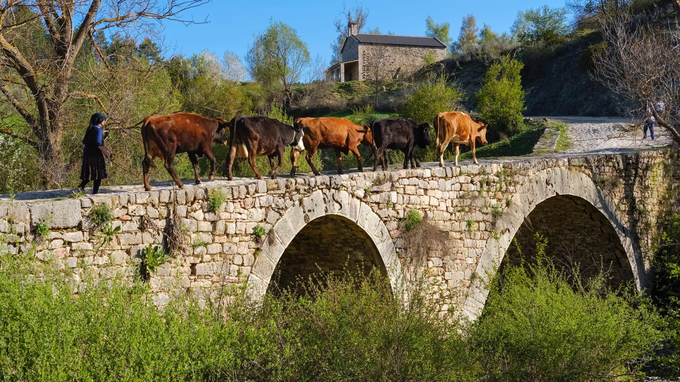 Steinbrücke bei Voskopoje: Albanien eignet sich perfekt für Mountainbike-Touren.
