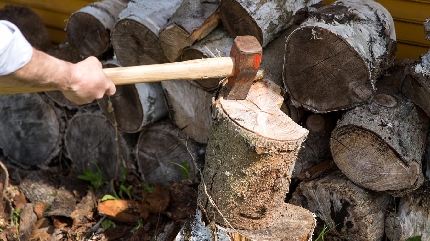Frisch geschlagenes Holz: Es kann nicht sofort verheizt werden, es muss erst trocknen und zwar bis es weniger als 20 Prozent Wassergehalt hat.