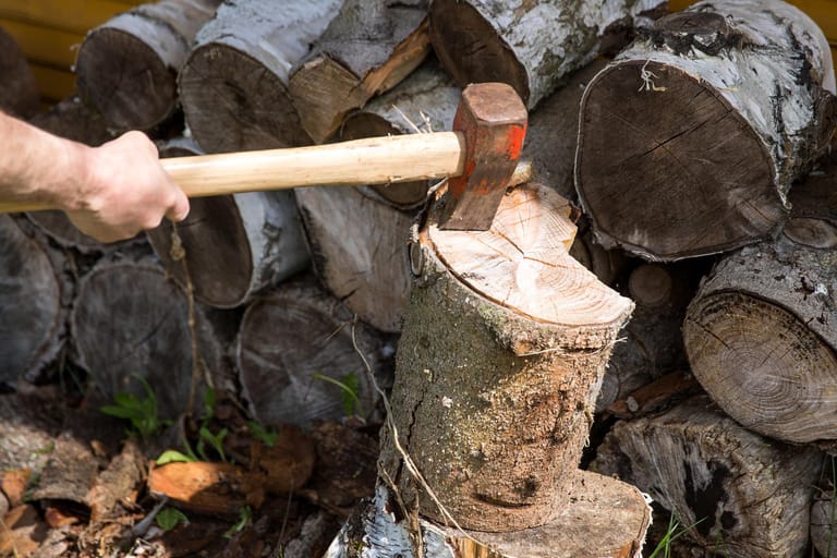 Frisch geschlagenes Holz: Es kann nicht sofort verheizt werden, es muss erst trocknen und zwar bis es weniger als 20 Prozent Wassergehalt hat.