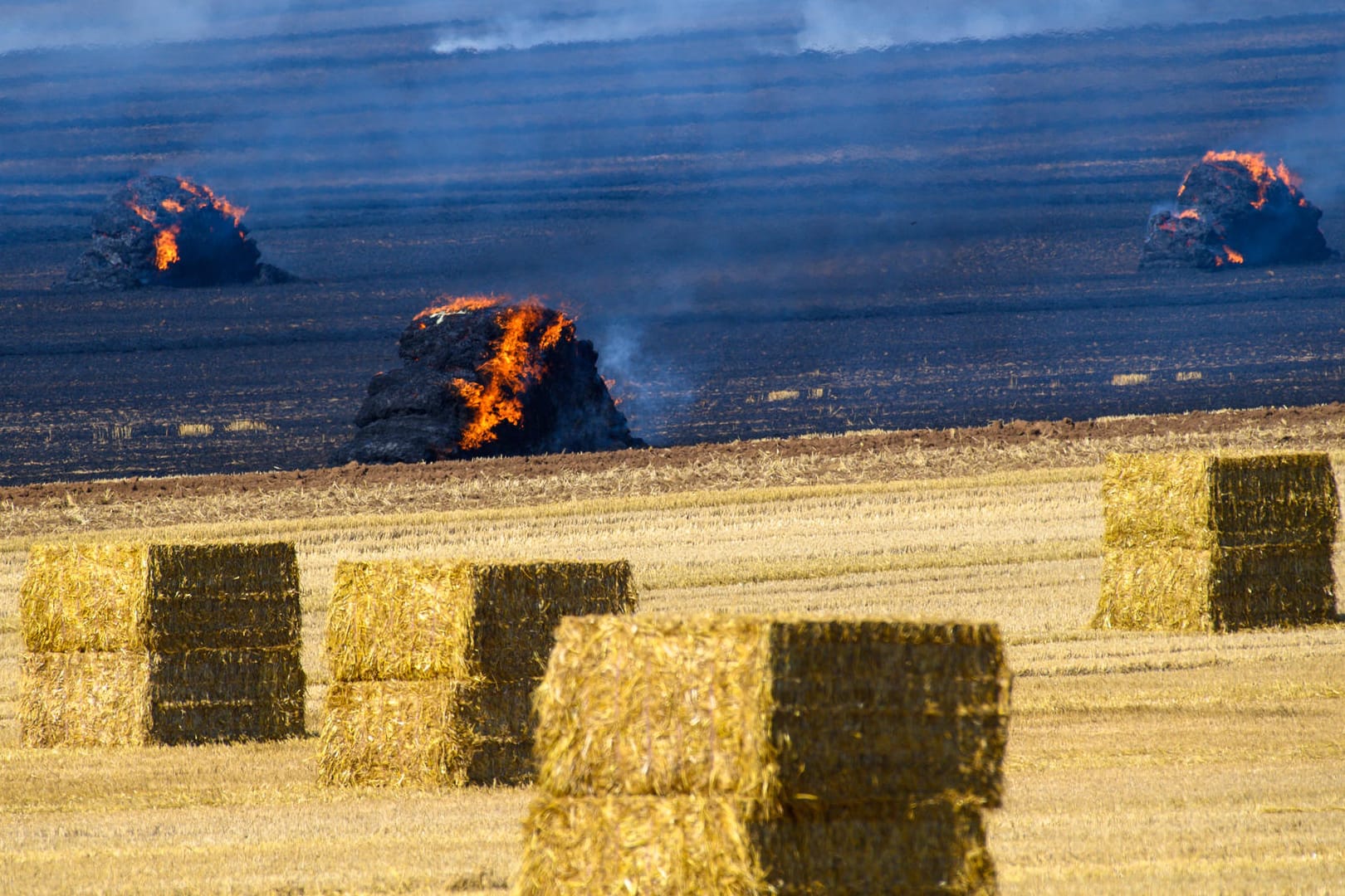 Feldbrand in Hedersleben (Sachsen-Anhalt): Aufgrund von Trockenheit ist die Waldbrandgefahr in vielen deutschen Regionen im Moment hoch.