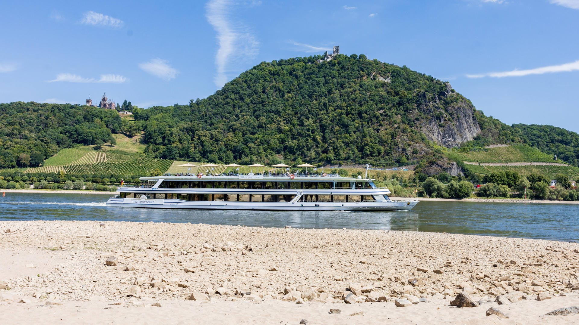 Rhein bei Bonn: Der Fluss hat im Moment mit einem niedrigen Wasserspiegel zu kämpfen.