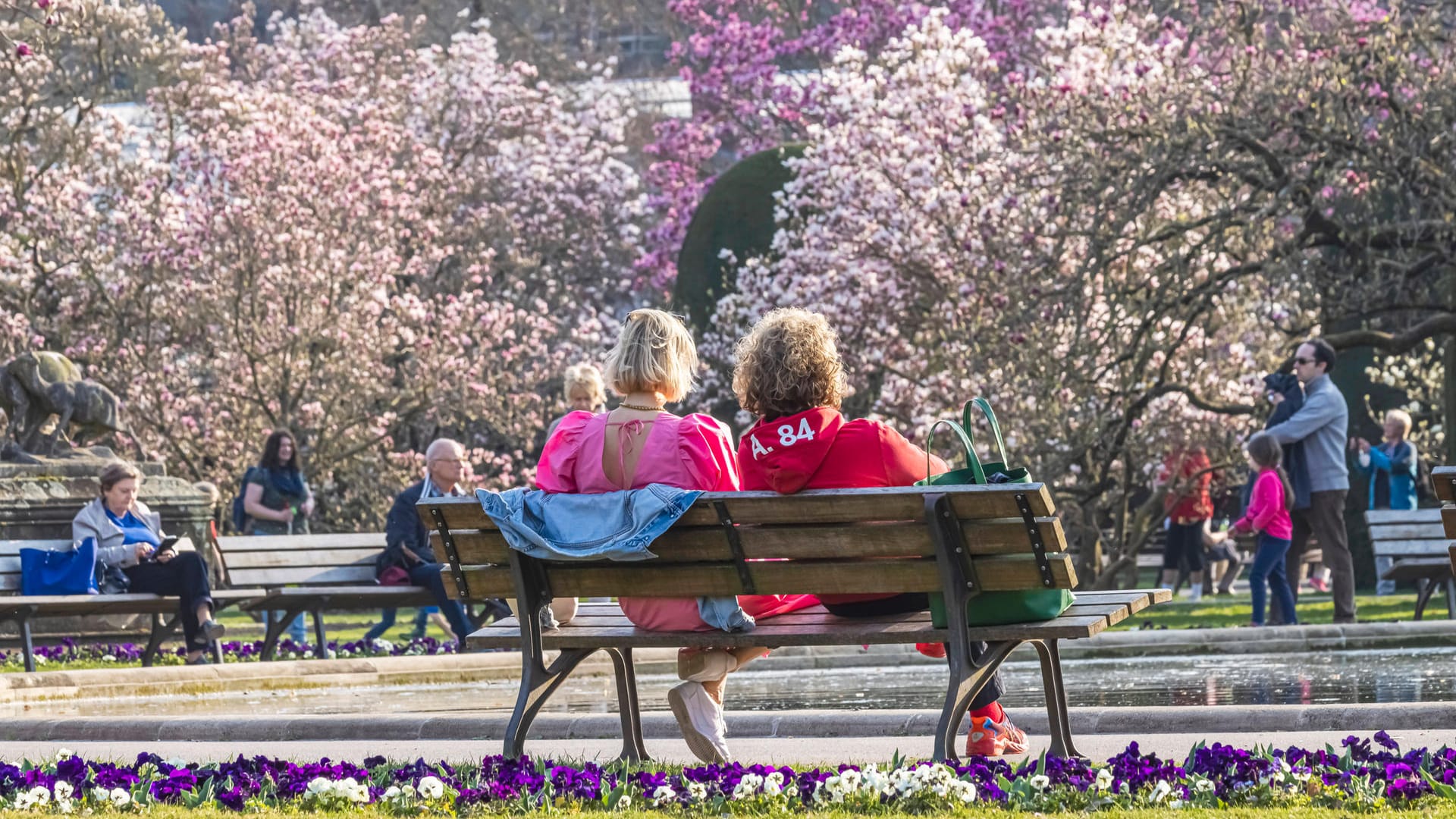 Magnolienblüte in der Wilhelma Stuttgart: Der Botanische Garten lockt nicht nur mit seiner Tier-, sondern auch mit der Pflanzenwelt zahlreiche Gäste.