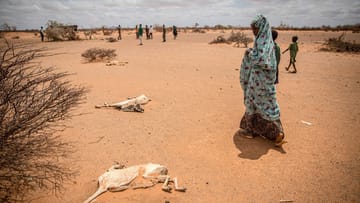 Am Horn von Afrika herrscht wie hier in Somalia eine verheerende Dürre.