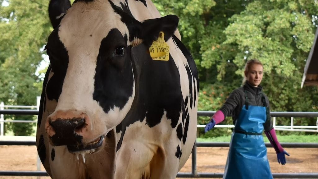 Katharina Leyschulte arbeitet täglich zwölf Stunden.