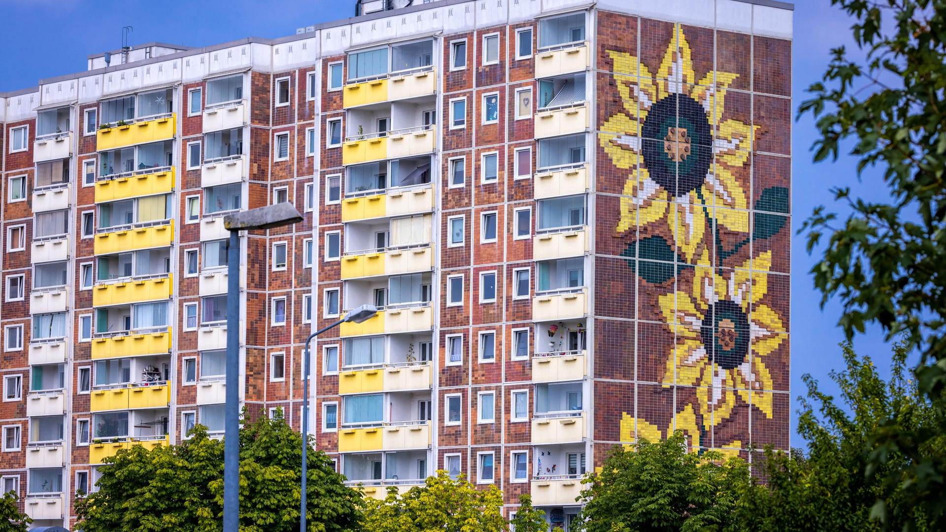 So sieht das Sonnenblumenhaus heute aus.