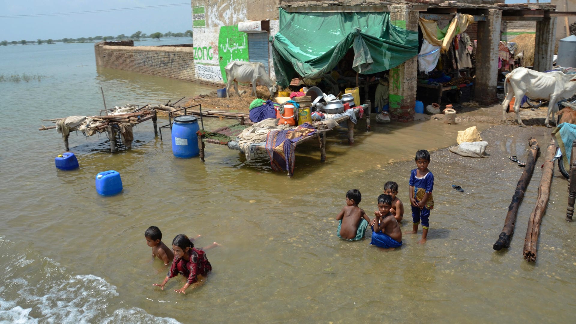 Das Wasser hat in Pakistan ganze Dörfer überflutet.