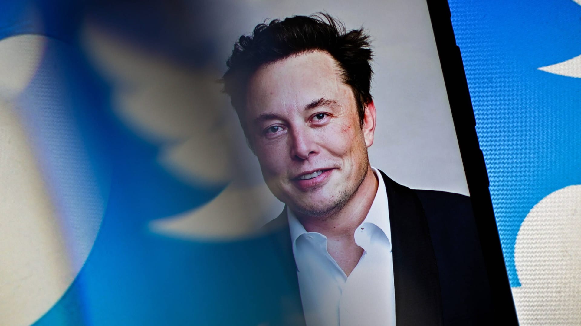 Freut sich über die Twitter-Enthüllungen: Tesla-Chef Elon Musk