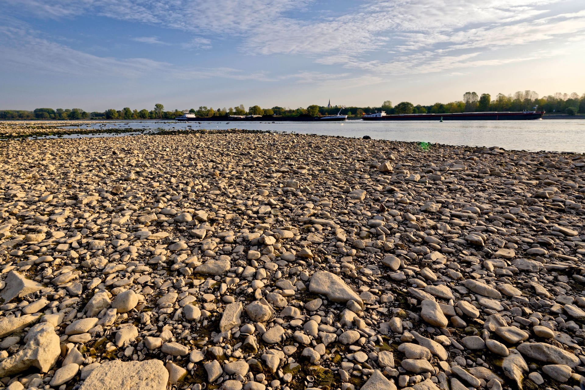 Der Rheinstrand wird immer breiter: Extremes Niedrigwasser macht der Schifffahrt zu schaffen.