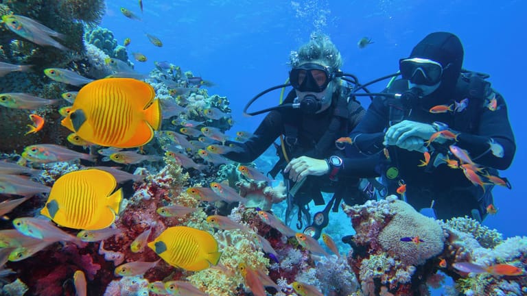 Taucher im Great Barrier Reef (Symbolbild): Scheinbar erholt sich das Naturwunder aktuell.
