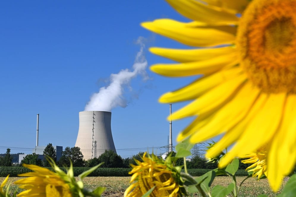 Das Atomkraftwerk Isar 2 an einem Sonnenblumenfeld (Archivbild): Aufgrund der Energiekrise steht im Raum, die Anlage länger zu betreiben.