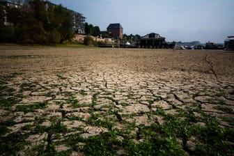 Dürre in Köln: Vielerorts hat es diesen Sommer bislang viel zu wenig geregnet.