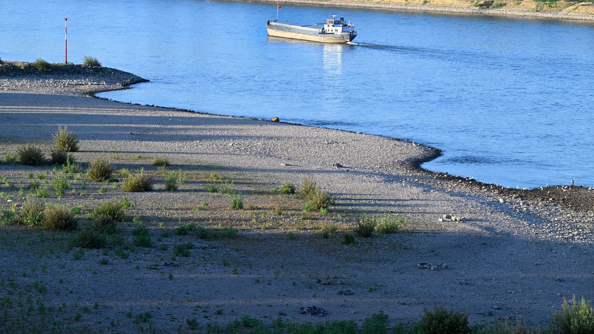 Niedrigwasser im Rhein: Dadurch steigt die Gefahr, auf Weltkriegsmunition zu stoßen.