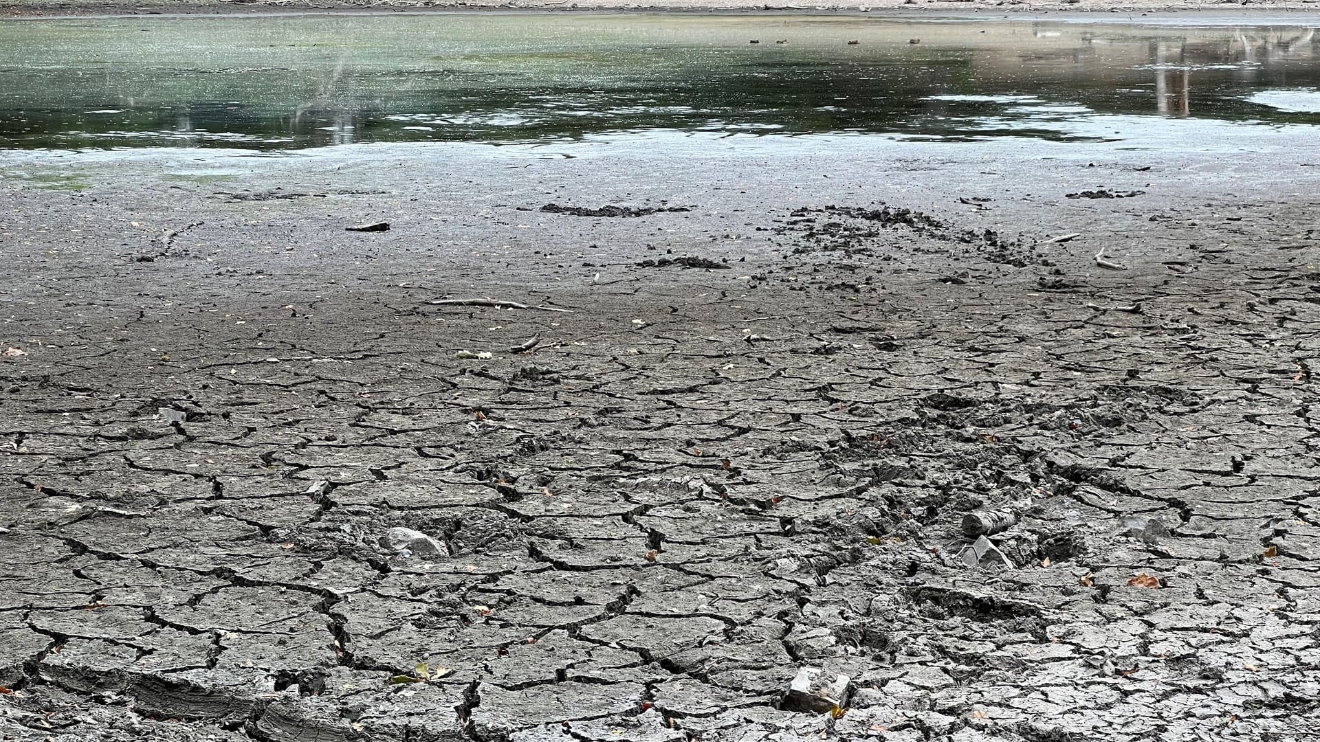 Der Scheuermühlenteich trocknet jedes Jahr im Sommer aus, im Herbst kommt das Wasser zurück.