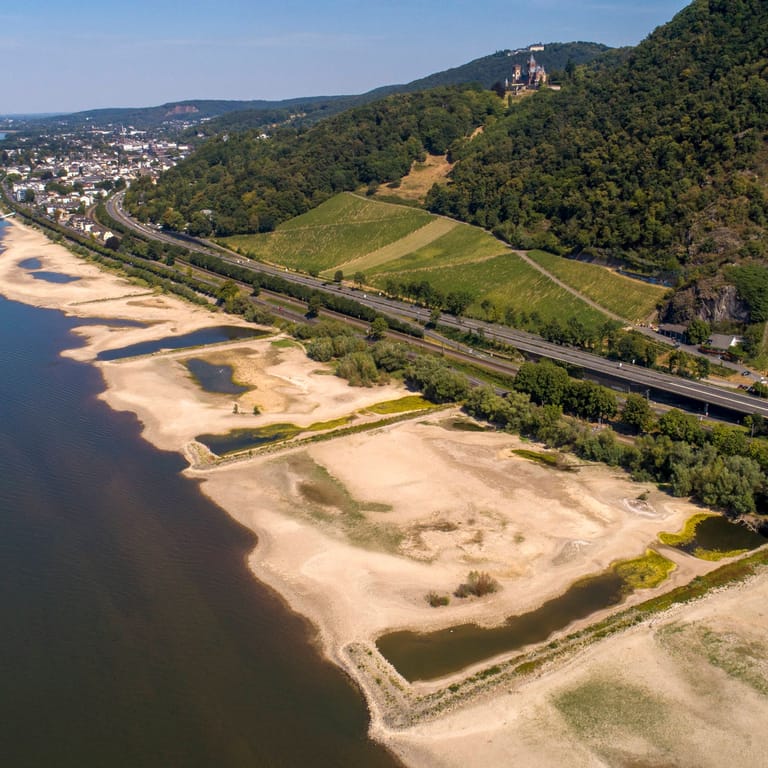 Sand und Geröll am Ufer des Rheins auf der Höhe von Bad Honnef: Frachtschiffe können wegen des Niedrigwassers nur noch zur Hälfte beladen werden.