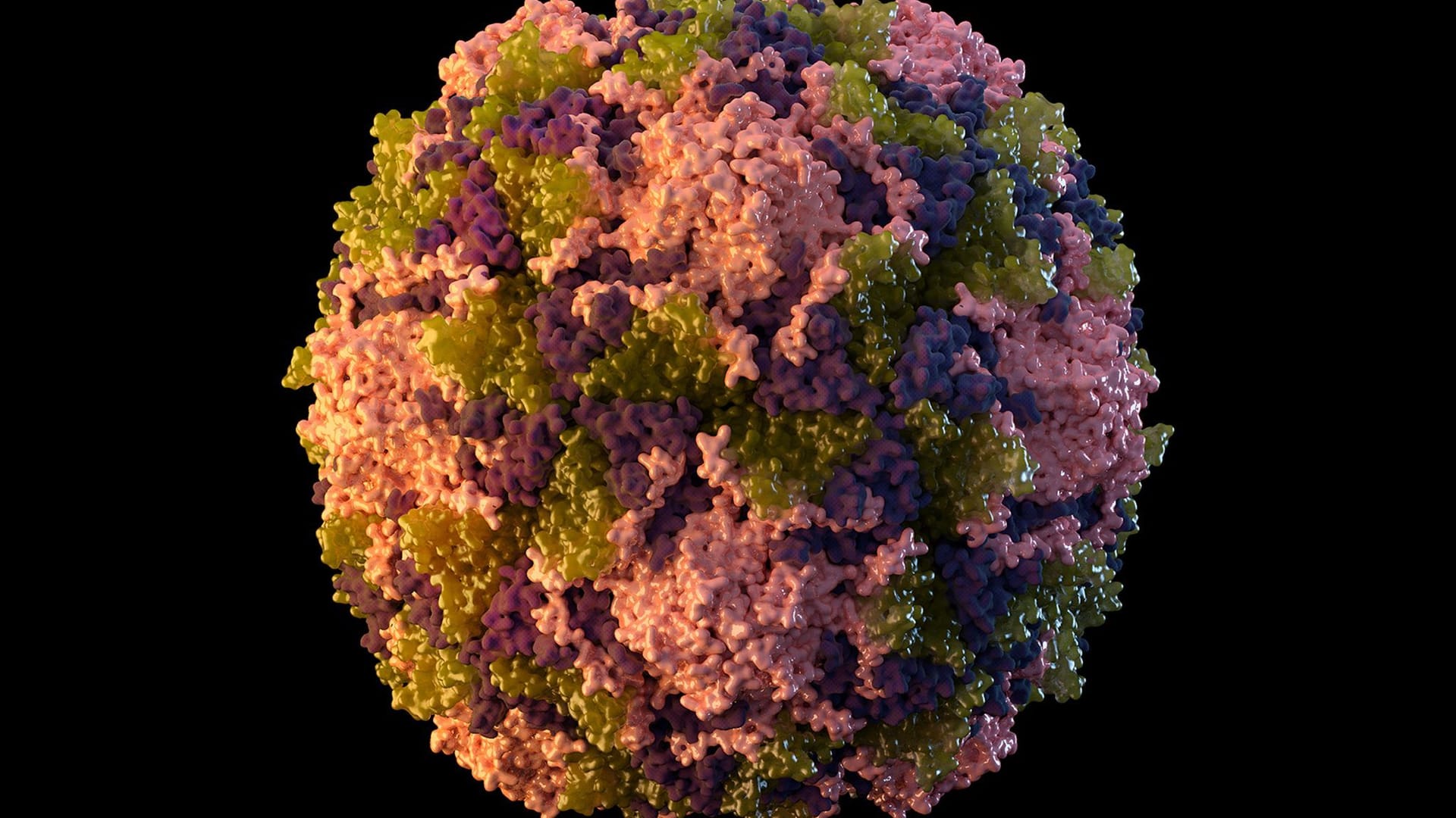 Ein Polio-Viruspartikel: Im Abwassersystem von New York ist die Krankheit nachgewiesen worden.