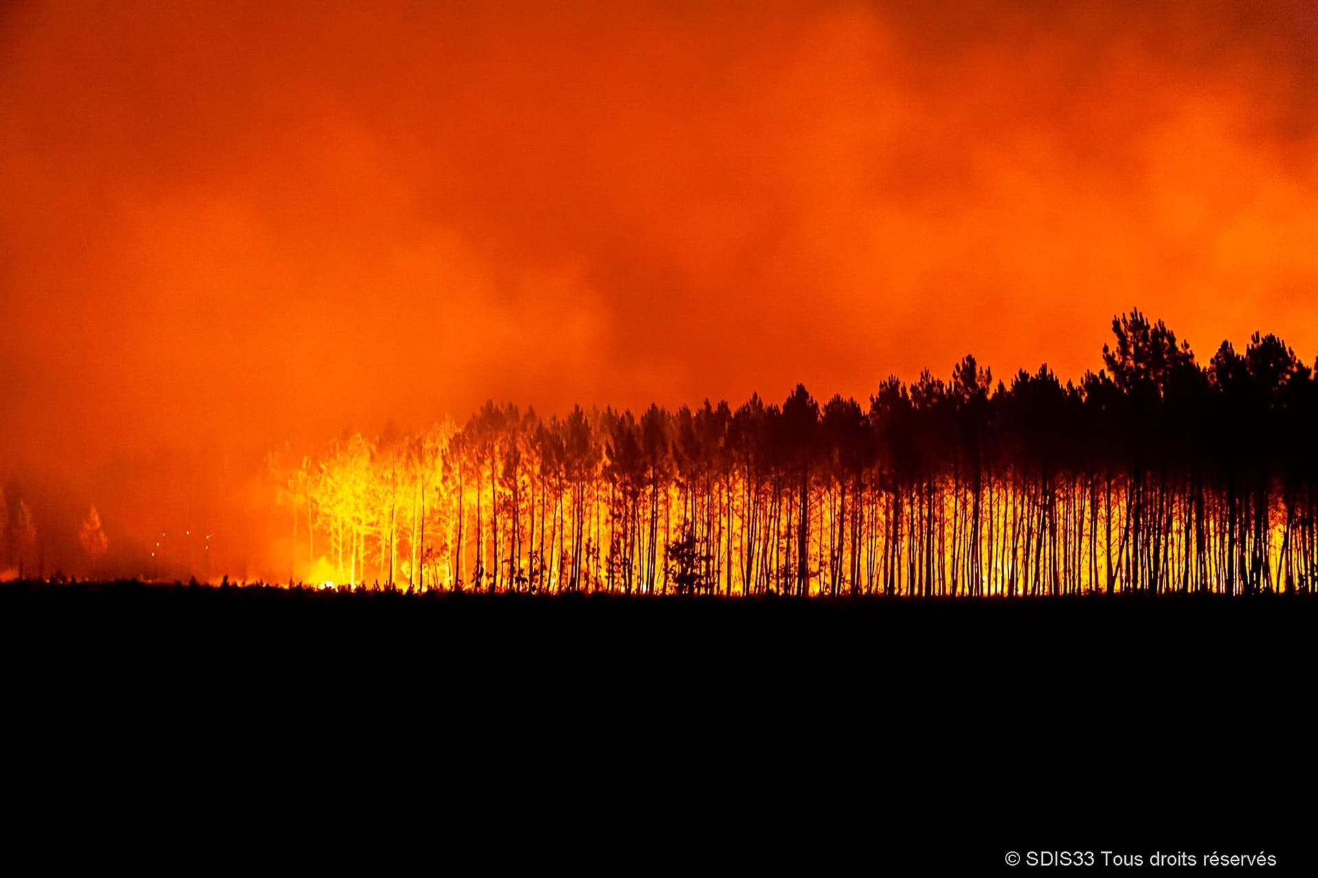 Waldbrände in Südfrankreich