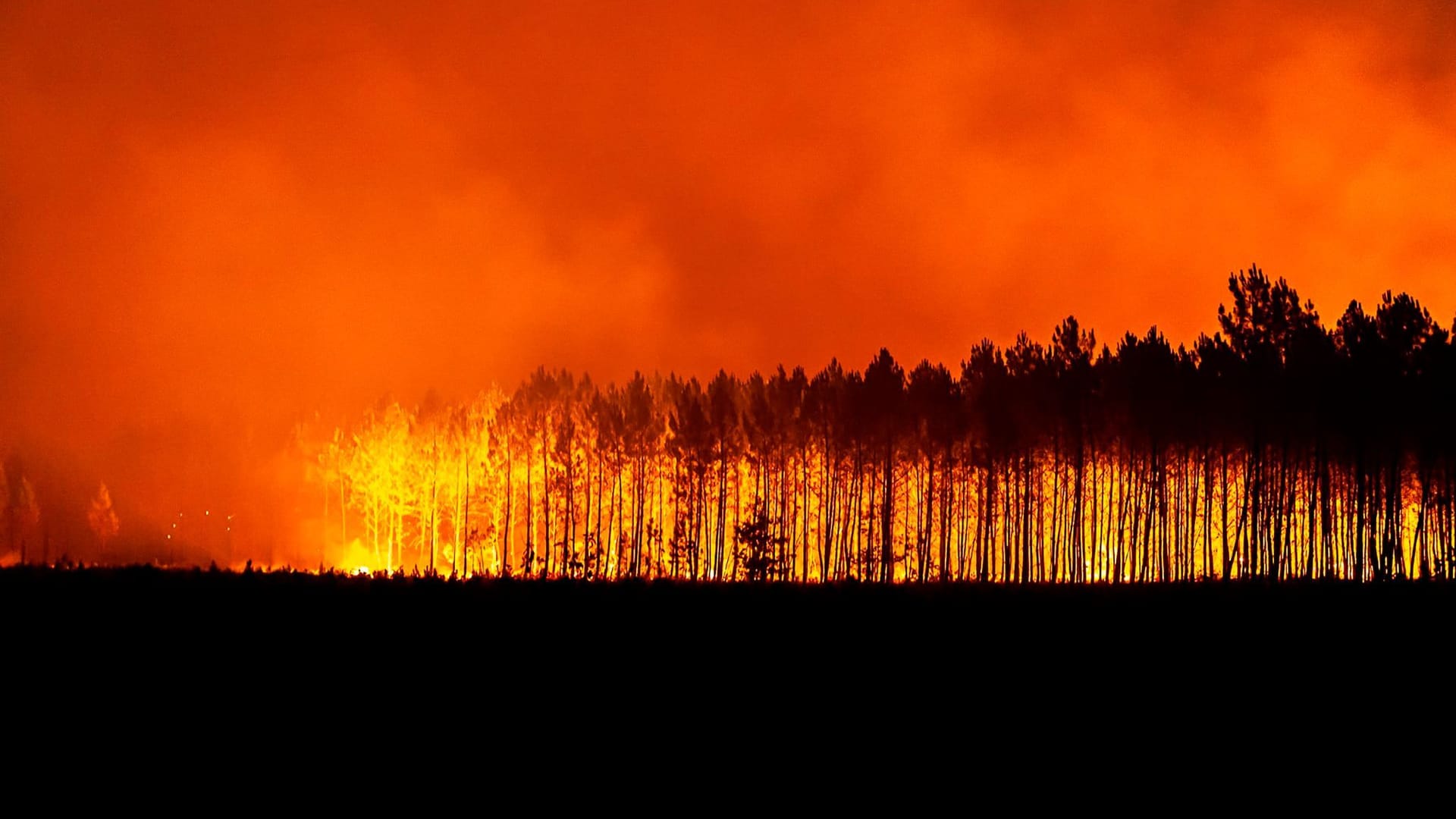 Waldbrände in Südfrankreich