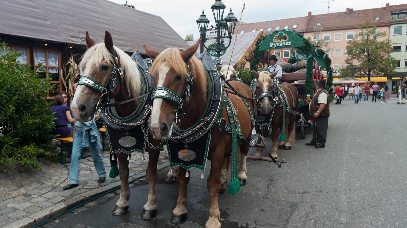 Traditionell geschmückte Pferdekutsche auf dem Nürnberger Altstadtfest (Archivbild): Die beliebte Veranstaltung kommt im September zurück.
