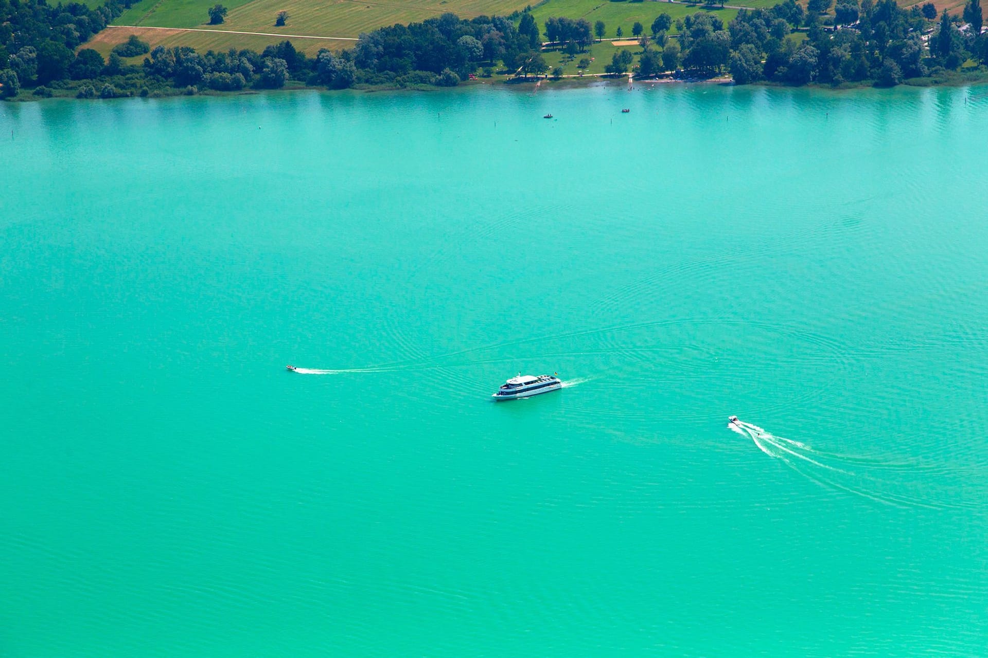 Grüner Bodensee