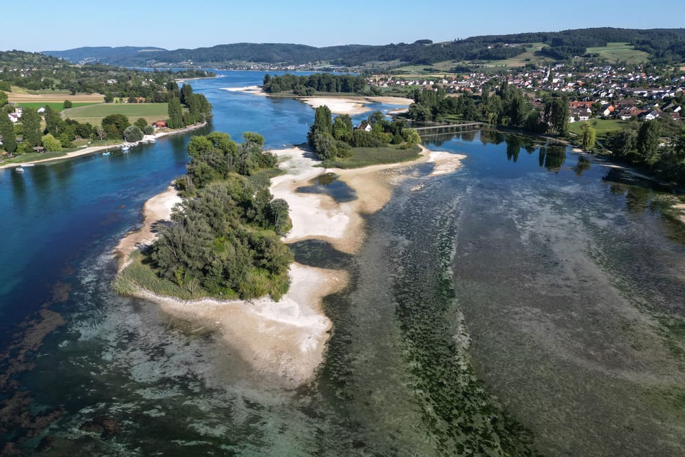 Anhaltende Trockenheit in ganz Europa: Durch das Niedrigwasser des Rheins haben sich Inseln und Uferbereiche des Bodnsees vergrößert.